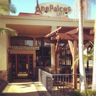 Tequila Vs Mezcal Tasting