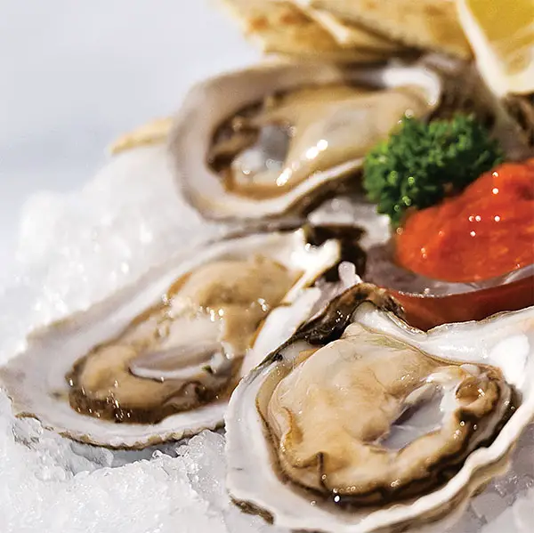 raw-oysters-on-the-half-shell.jpg