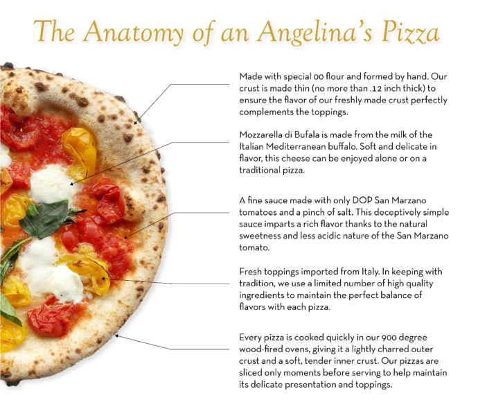 Angelina's Anatomy Of Pizza