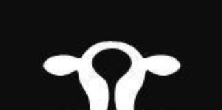 Hopdoddy Burger Bar Logo