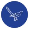 Hinoki & The Bird Logo