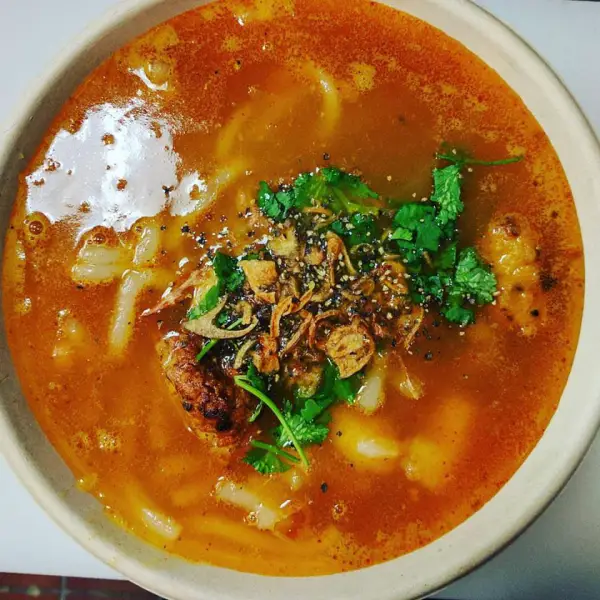 ViaHe Udon Noodle Soup