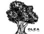 OLEA Logo