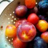 Chef Debbi Summer Fruit