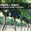 Michael's On Naples Fasoli Gino Wine Tasting