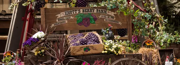 Knott's Berry Farm Boysenberry Festival