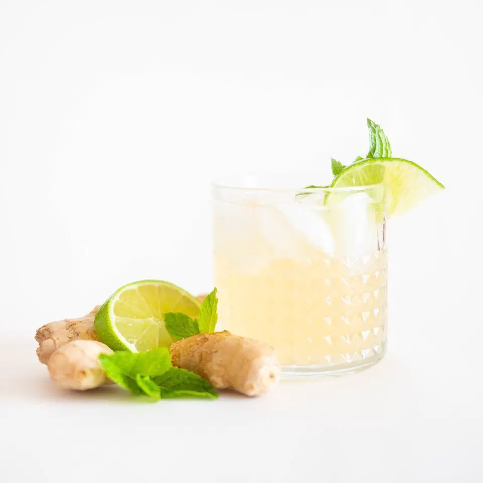 Rich Elixirs Ginger Lime Mint Kombucha