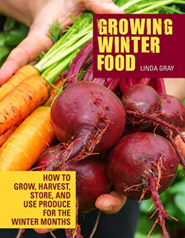 Growing Winter Food Cover