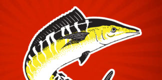 Wahoo's Fish Taco Logo