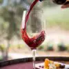 5 Course Wine Pairing - The Country Club (CM)