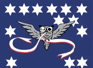Blinking Owl Veterans Day