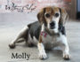 Waters Edge Winery Dogs Molly