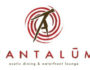 Tantalum Logo