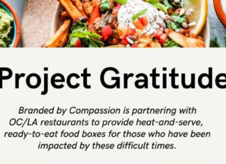 Project Gratitude By Branded By Compassion