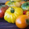 The Ranch Heirloom Tomatoes