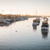 Newport Beach Wine And Food Boats