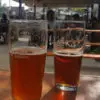 Anaheim Brewery Beer